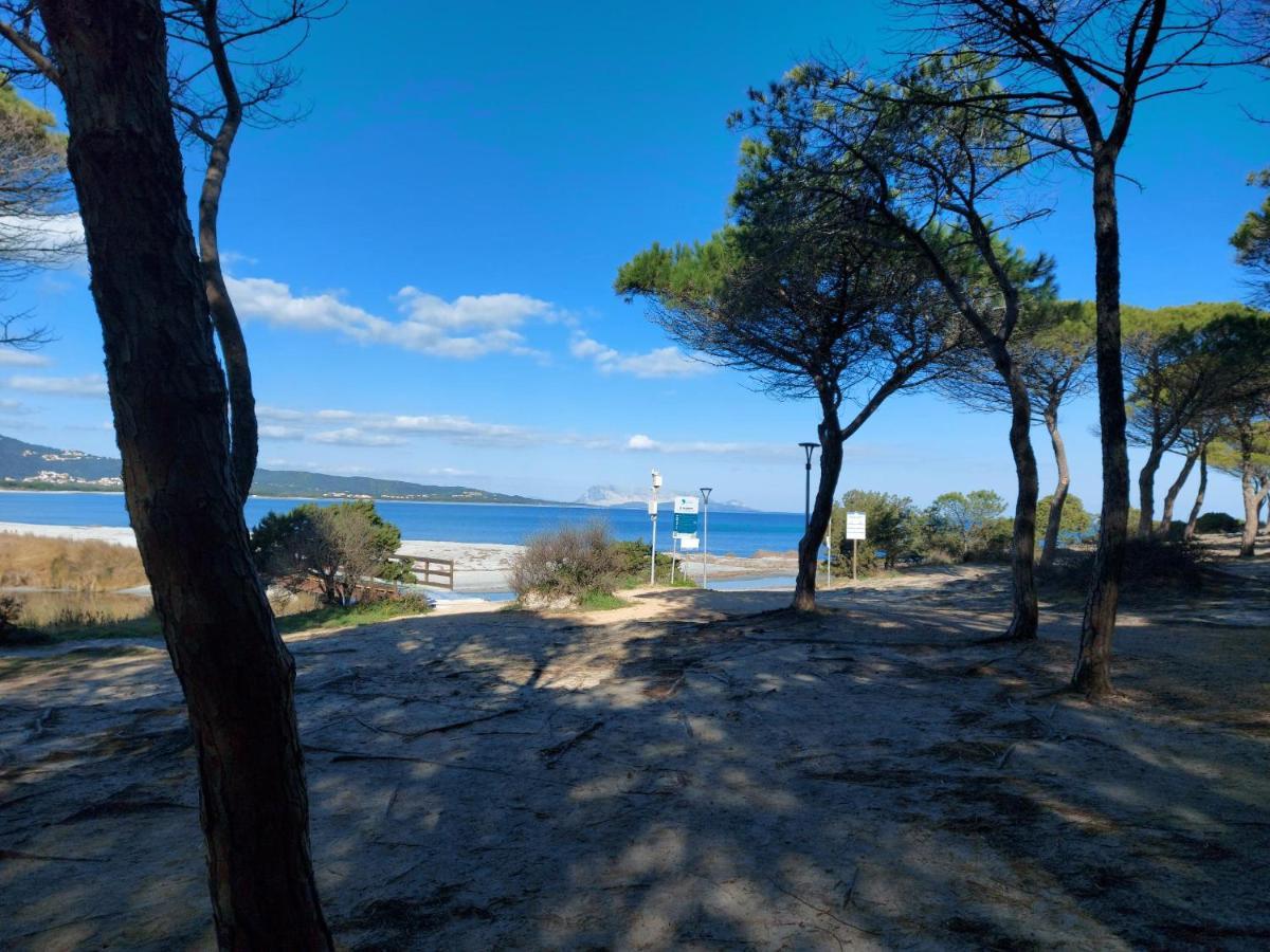 Villetta Gallura 13 Budoni Dış mekan fotoğraf